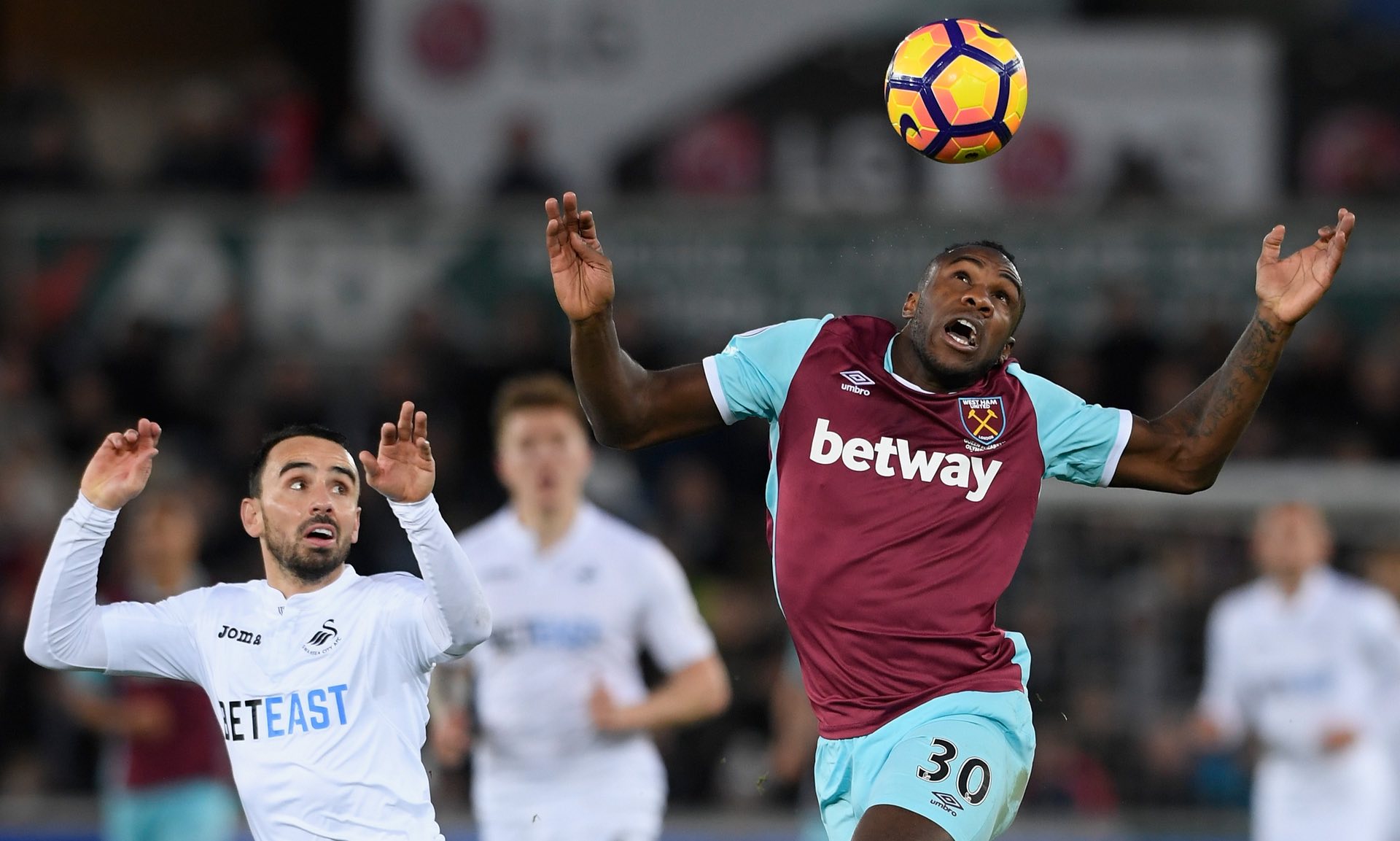 独特魅力 独特魅力